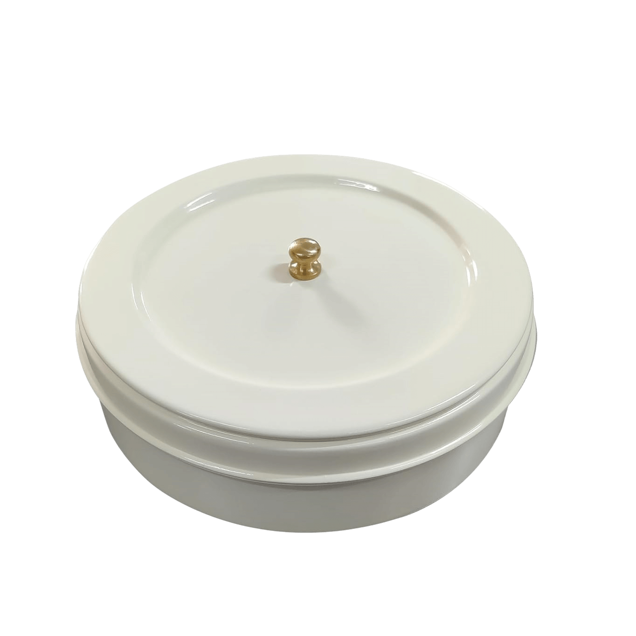 IRON  FTALBEARD CONTAINER BOX (COLOR)